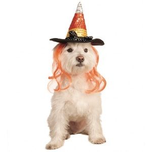 NEW Rubies Pet Shop Candy Corn Witch Hat Dog Halloween Costume - Small/Medium